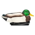 thumbnail image 6 of Avian X Power Swimmer Mallard Drake Motion Duck Decoy with 10+ Hour Battery, 6 of 12