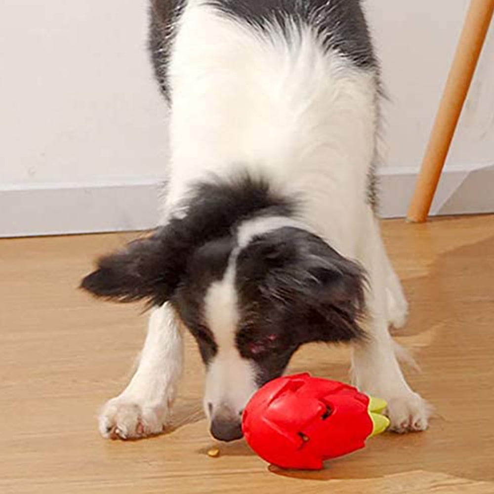Greswe Play with High Quality Dog Chew Toys