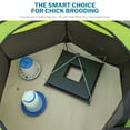 thumbnail image 6 of Incubator Warehouse Insta Brooder™ with Vrooder™ Heater Plate, 6 of 11