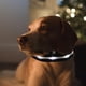 thumbnail image 3 of LED Collar intermitente para perros n en la oscuridad Suministros ajustables Blanco Zulema Collar luminoso, 3 of 8