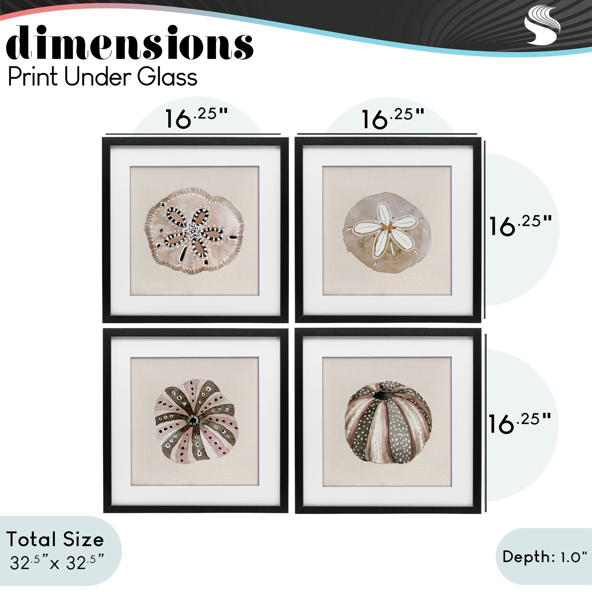Stupell Industries Taupe & Beige Sea Creatures 4 Piece Black Framed Print Under Glass Set, design by Lanie Loreth
