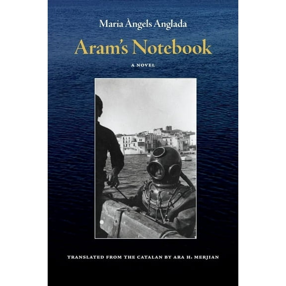 Aram's Notebook, (Paperback)