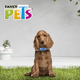 thumbnail image 5 of COLLAR MED SKY LOOK P/PERRO GALERIA, 5 of 5