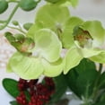 thumbnail image 3 of Advancent Orquídeas artificiales Plantas de flores falsas Tazón blanco Maceta Conjunto de bonsái Imitación Real Touch Vivid para bodas Home Decoración Verde, 3 of 6