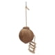 thumbnail image 2 of Casa colgante de coco natural para loros con escalera, jaula para hámster, columpio, nido de juguete, cáscara de coco peluda con escalera, 2 of 14