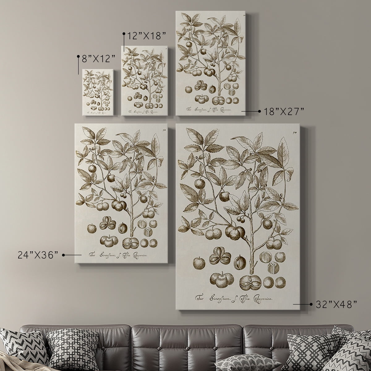 Sepia Botanical Journal II Premium Gallery Wrapped Canvas - Ready to Hang