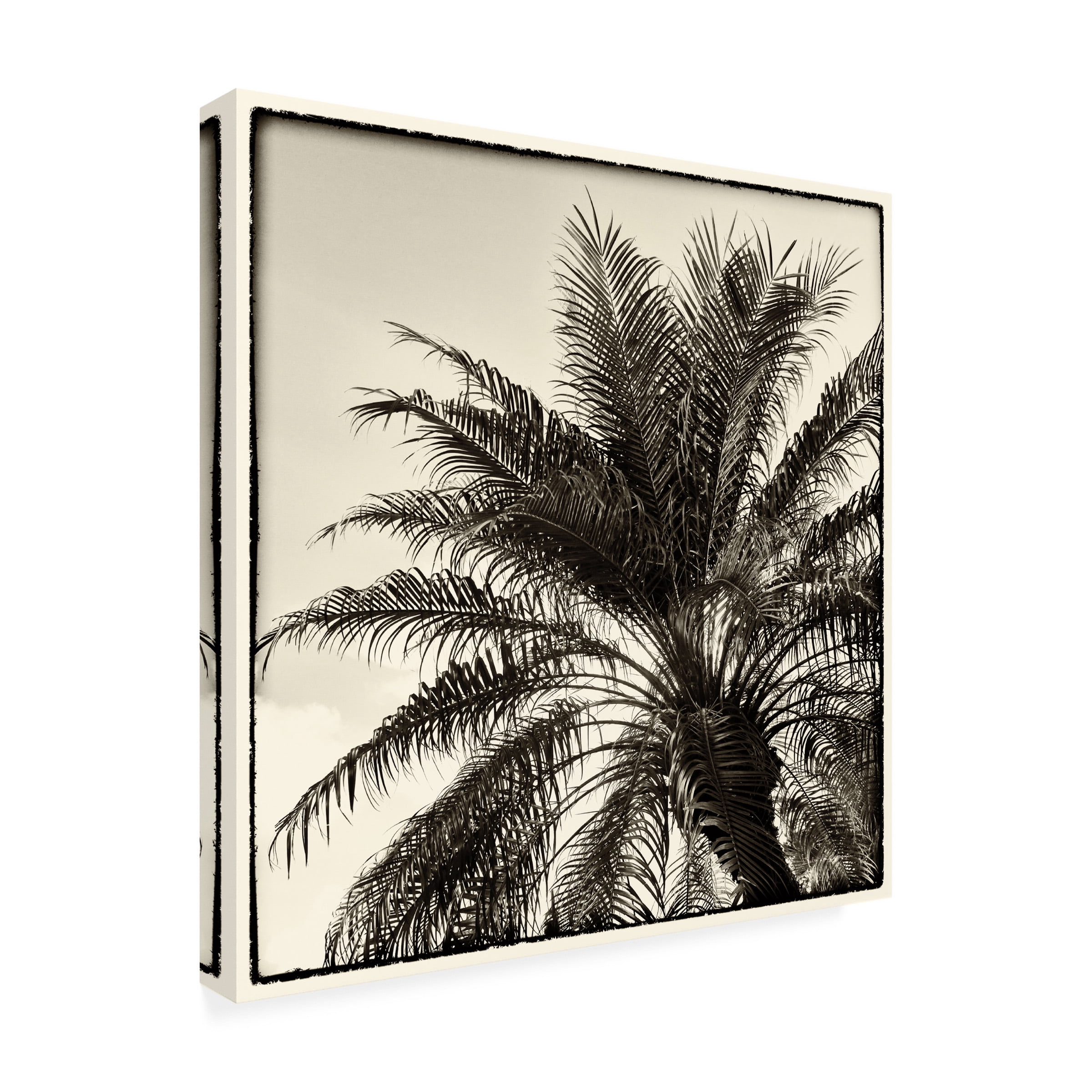 Debra Van Swearingen 'Palm Tree Sepia I' Canvas Art