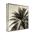 thumbnail image 2 of Debra Van Swearingen 'Palm Tree Sepia I' Canvas Art, 2 of 3