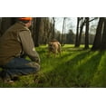 thumbnail image 4 of Natural Touch Wellness Furshield Dog Sun Spray 8Oz, 4 of 8