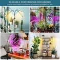 thumbnail image 2 of Plant Growth Light-5V3A Conjunto completo de luz roja azul amarilla Ormromra WMPH-1749, 2 of 9