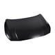 thumbnail image 1 of Cofre Altima 2019 A 2020 Nissan TONG YANG  ., 1 of 4