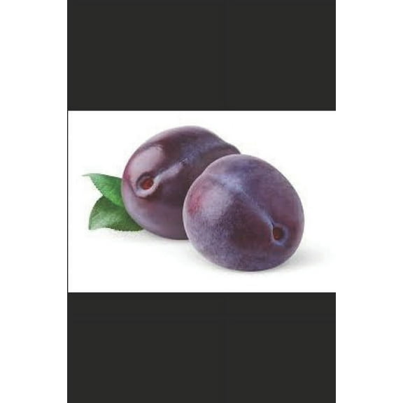 The Quest for the Quiet Plum (Paperback)