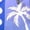 Blue, variant on Boys Palm Tile Print Board Shorts with Lined Swimwear Fit (Brown,5-6 Years)