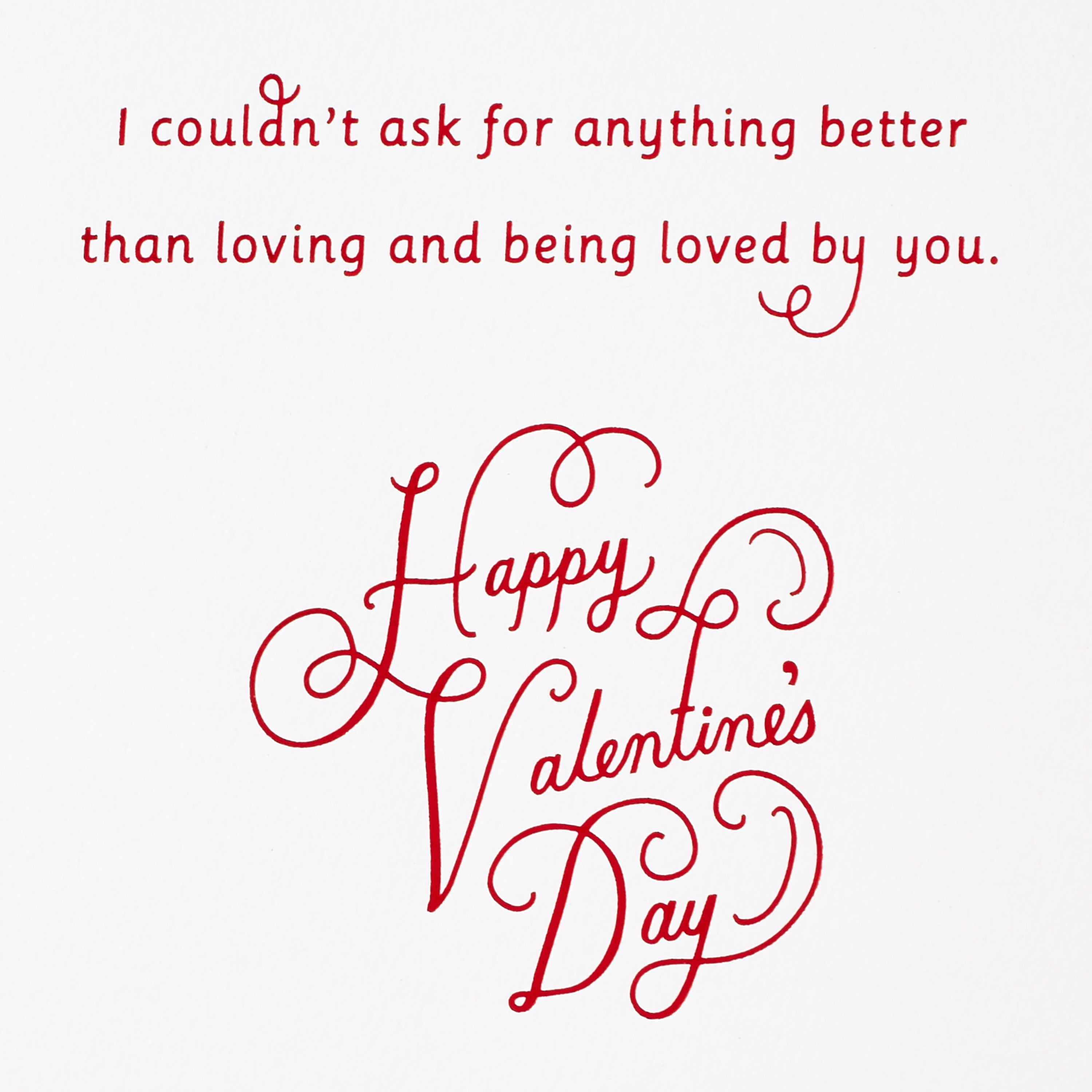 Hallmark Valentines Day Card for Wife (Happy Man)