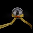 thumbnail image 1 of Dekaim Bola Transparente 5 Piezas Decoración de Regalo de Caramelo Caja Transparente Bola Colgante de Brillo navideño(Knot-Oro), 1 of 5
