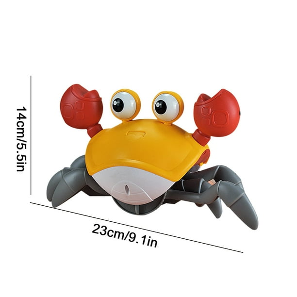 CEHVOM Jouet de crabe poilu à induction Jouet anti-obstacles pour animaux  de compagnie pour enfants cadeau pour tout-petit ou enfant 