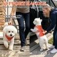 thumbnail image 2 of Pet Artist No Pull Dog Harness Escape Proof Reflective Adjustable Sport Vest with Handle, 2 of 12