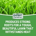 thumbnail image 3 of Expert Gardener Tall Fescue Drought Resistant Grass Seed Mix, for Sun to Partial Shade, 7 lb., 3 of 12
