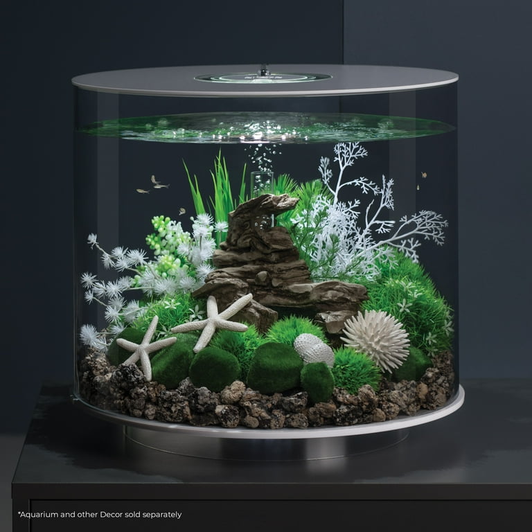 biOrb White Starfish Set - Small Aquarium Decor - Walmart.com
