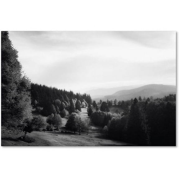 Trademark Fine Art "Spotlight" Canvas Art by Philippe Sainte-Laudy