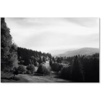 Trademark Fine Art "Spotlight" Canvas Art by Philippe Sainte-Laudy