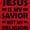 Red, variant on Jesus Is My Savior Not My Religion Men's Graphic T Shirt Tees Brisco Brands L