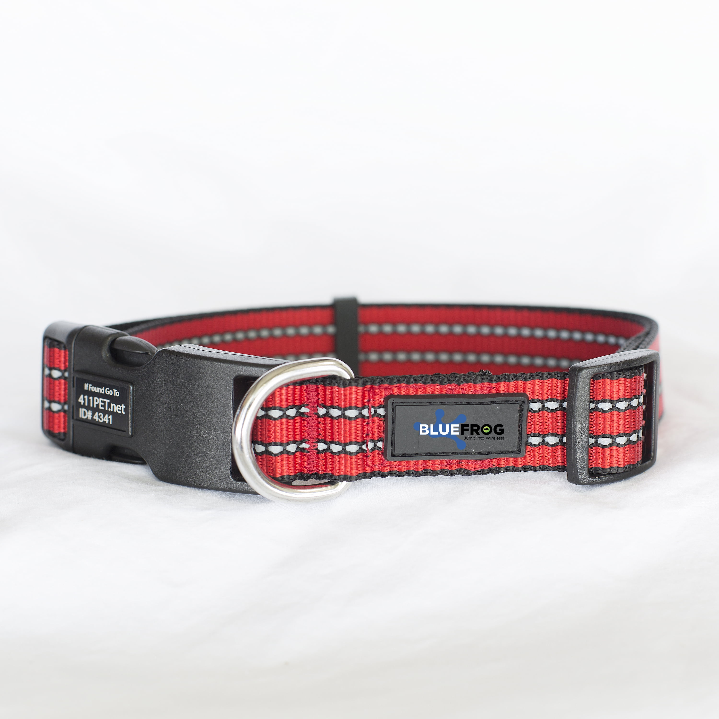 Blue frog dog collar Clearance