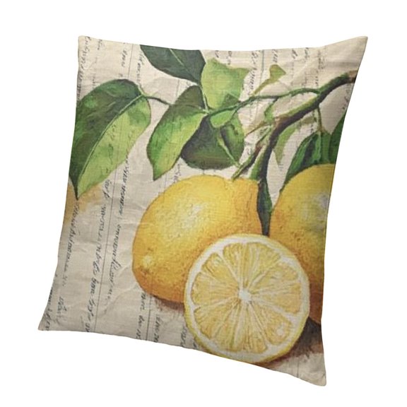 Lemon Pillow Cover Summer Decor Farm Decorative Cushion Case for Sofa Couch Vintage Fruit Decorations Throw Pillowcase