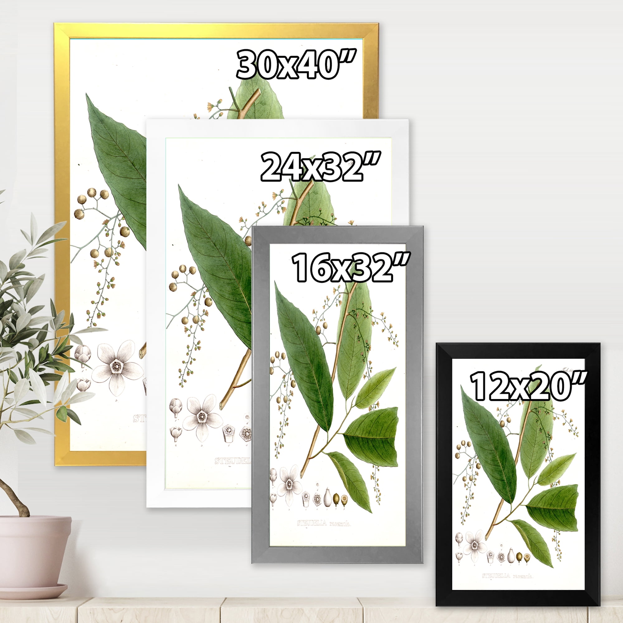 Designart 'Ancient Brazilian Plant I' Traditional Framed Art Print
