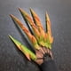 thumbnail image 5 of Halloween Mantis Mano Halloween Dedos De Plástico Realistas Accesorios Adecuados Para Mascarada Decoración De Fiesta Al Aire Libre Noticed HA046387-01, 5 of 6