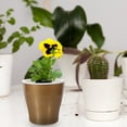thumbnail image 2 of Miangastore Plant Enthusiasts Large Size Planter Pots Silver 2Pcs 11.8x7.9x4.7In, 2 of 8