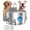 Fountain+4Set Filter, variant on WAAYEE Pet Water Fountain, 3.2L Cordless Smart Sensor Automatic Water Dispensing Dog Water Bowl, Quad Filtration Continuous Circulating Water, Stainless Steel Easy Clean, Ultra Quiet Rechargeable