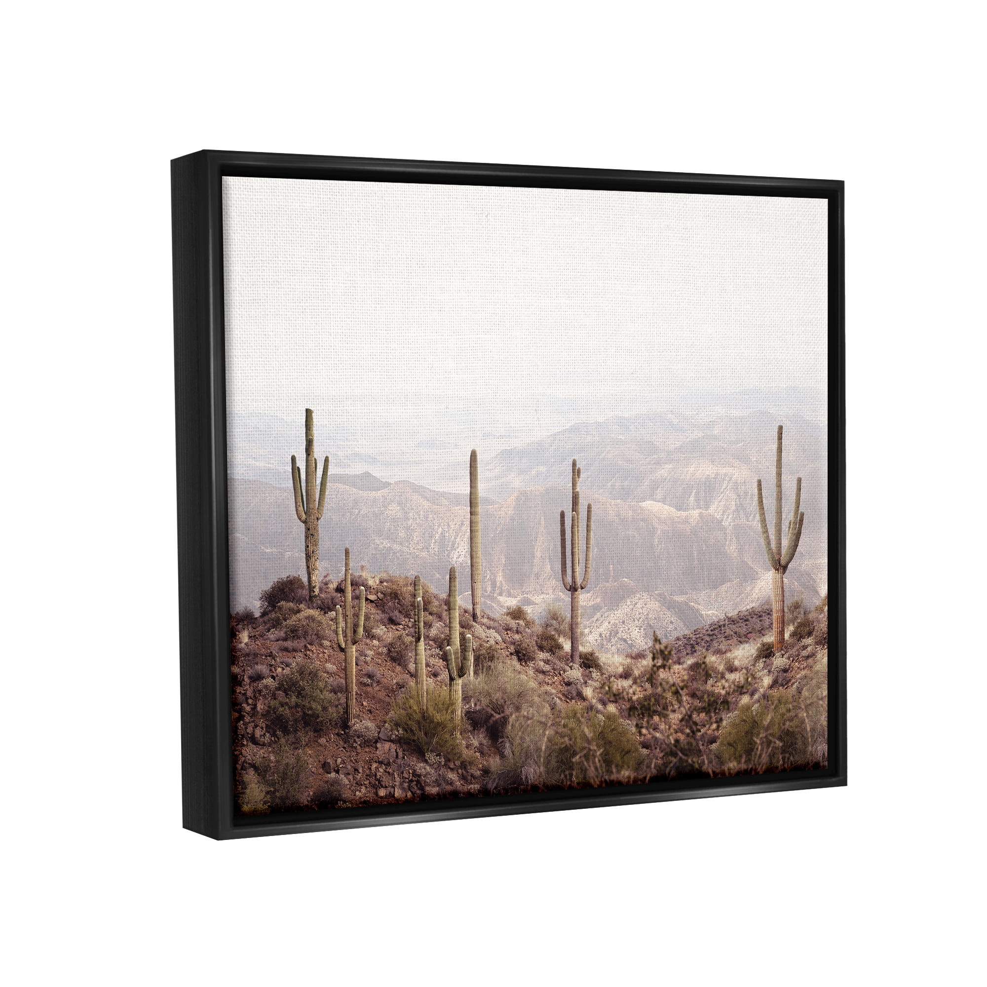 Stupell Industries Cacti Overlooking Desert Nature Photography Black Floater Framed Art Print Wall Art, 31 x 25