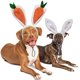 thumbnail image 5 of Diadema para perro ACTIVE Accesorios de Disfraces de Halloween Zanahoria y Orejas de Conejo, 5 of 5