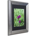 thumbnail image 2 of Trademark Fine Art "Healing Tulips" Canvas Art by Kurt Shaffer, Black Matte, Silver Frame, 2 of 4