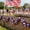 U, variant on Upgraded 78.74" Americans Independence Day Ribbons Plastic Tricolor Ribbons Tricolor Star Round Ribbons For Parades Decor And Crafting Patriotic Red White Blue U