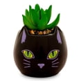 thumbnail image 1 of Minimoleta de cerámica Toynk Disney Hocus Pocus Binx de 8 cm, 1 of 6