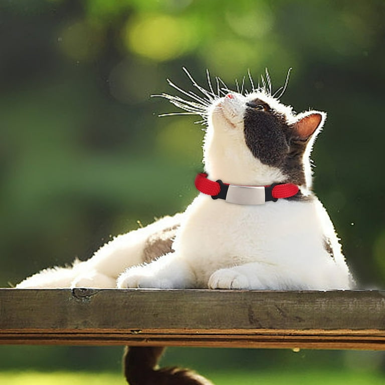Paracord cat collar sale