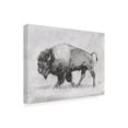 thumbnail image 2 of Emma Scarvey 'Wild Bison Study II' Canvas Art, 2 of 3
