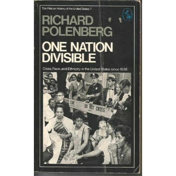 Pre-Owned One Nation Divisible: Class, Race, and Ethnicity in the United States Since 1930 (Hist of the USA) (Paperback) 0140212469 9780140212464