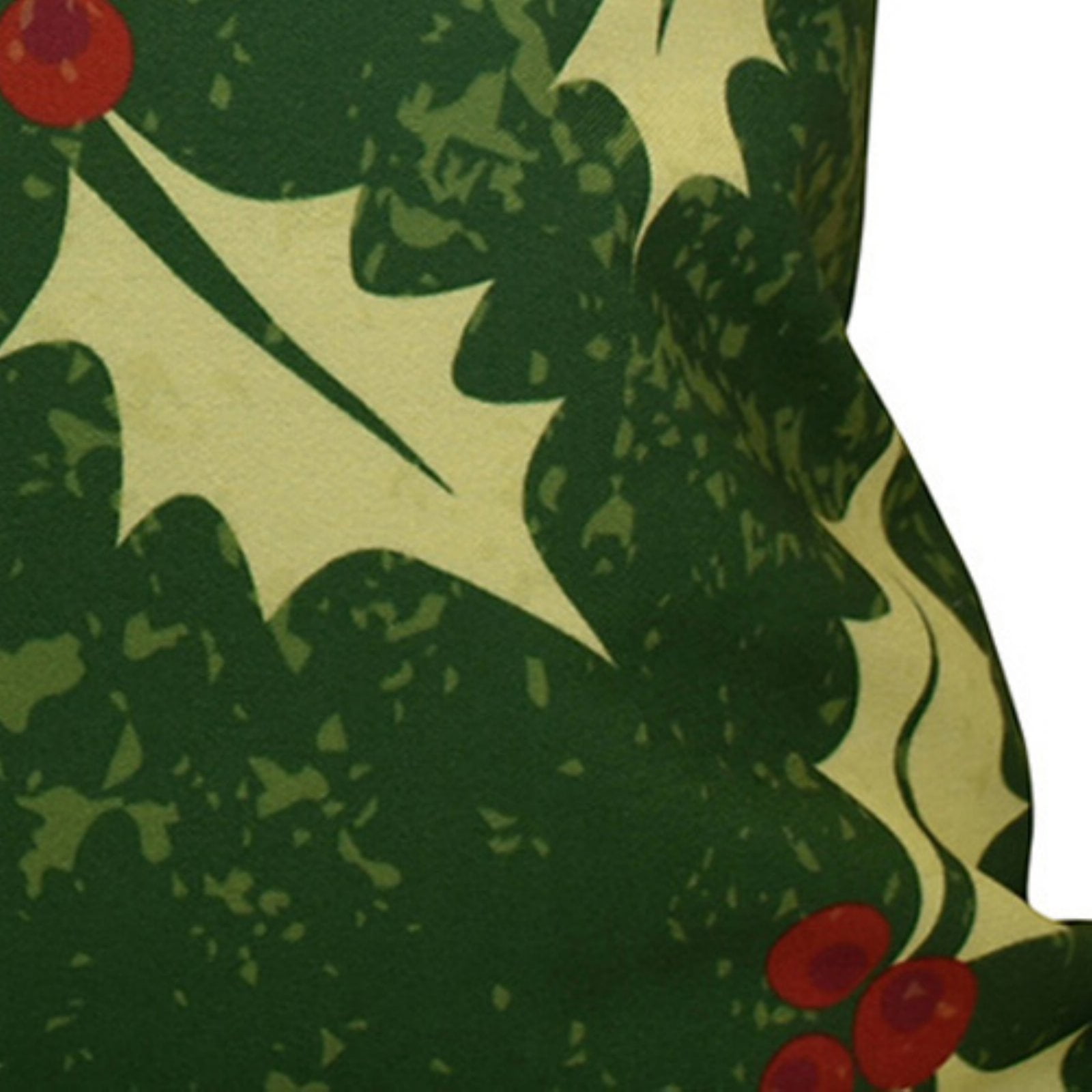 Simply Daisy 16" x 16" Allover Holly Floral Print Outdoor Pillow