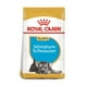thumbnail image 1 of Alimento Croqueta Royal Canin Schnauzer Mini Cachorro 1.1Kg, 1 of 4