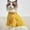 Yellow, variant on High-Neck Breathable Two-Legged Pet Sweater for Cats and Dogs Comfortable Warm Clothing
