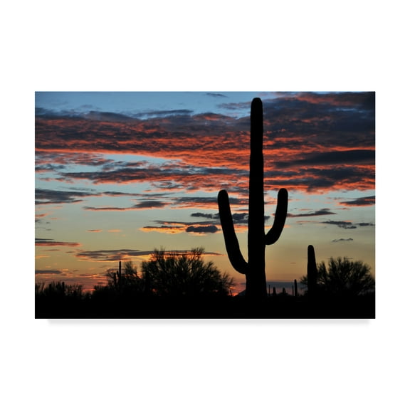 Trademark Fine Art 'Hands Off' Canvas Art by Philippe Sainte-Laudy