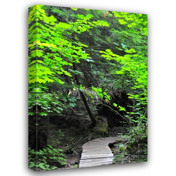Erin Berzel 23x32 Gallery Wrapped Canvas Wall Art Titled - Afternoon Hike II