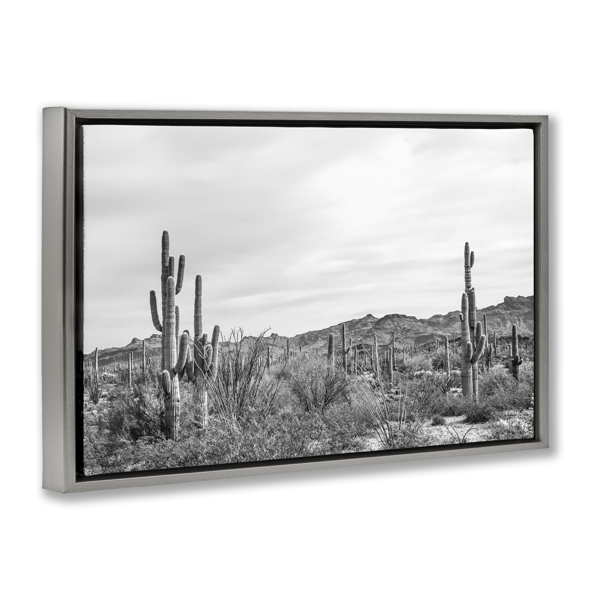 Stupell Industries Sonoran Desert Wonderland Landscape & Nature Photography Gray Floater Framed Canvas Art Print Wall Art, 25 x 17