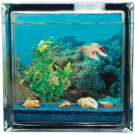Aquablock 640052648593 Aqua Beach Betta Personal Fish Glass