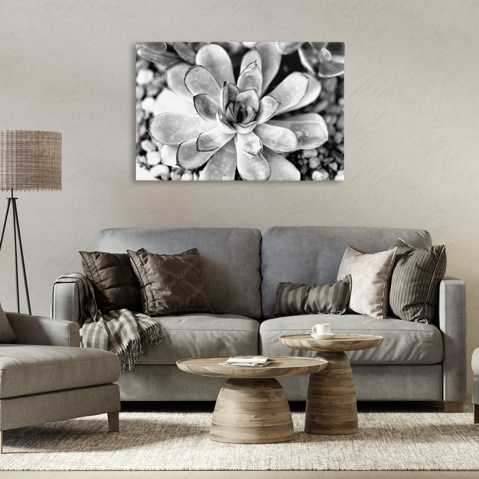 Stupell Industries Monochrome Succulent Leaves Botanical & Floral Photography Gallery Wrapped Canvas Art Print Wall Art, 36 x 24
