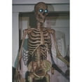 thumbnail image 2 of LzyK 5ft Pearlized White Skeleton – Ultra Poseable, Halloween Hanging Skeleton Decor Outdoor, 2 of 2