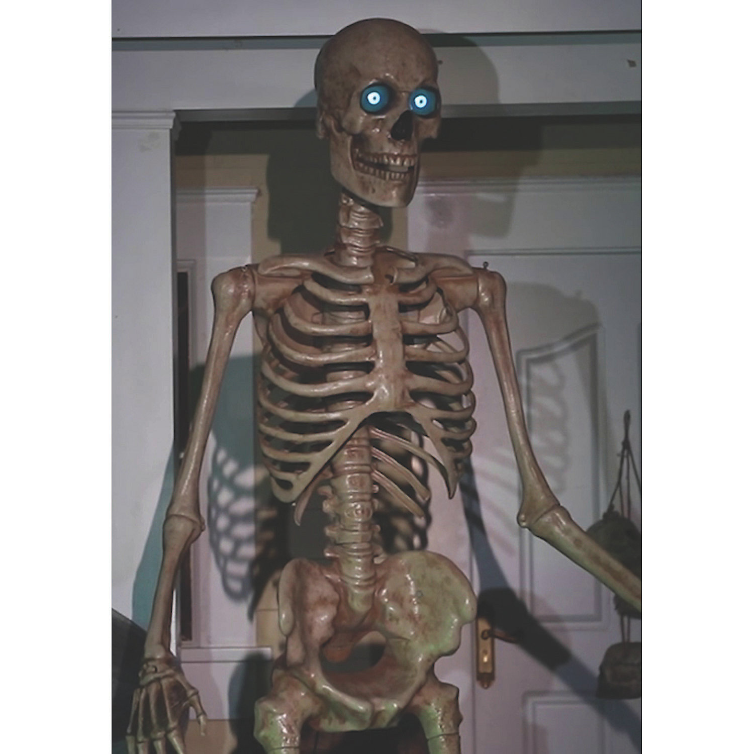 藤井保　SKELETON 16
